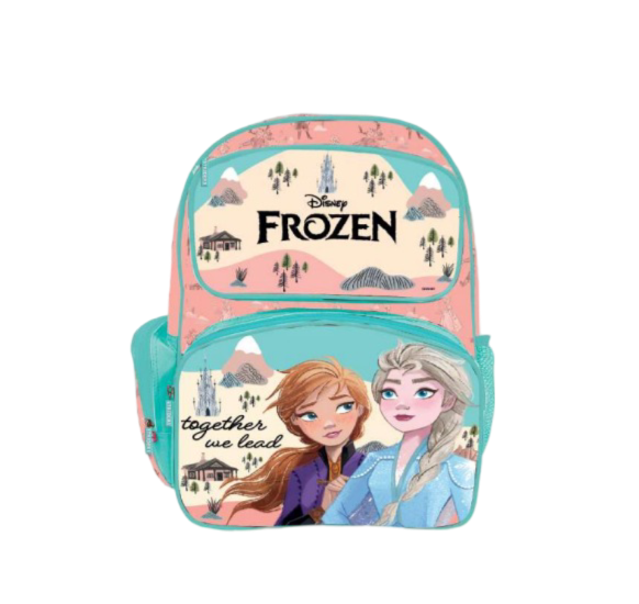 Frozen School Bag