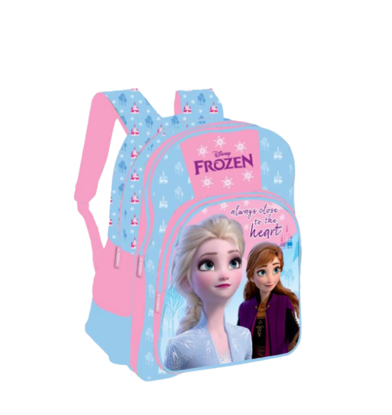 Frozen School Bag