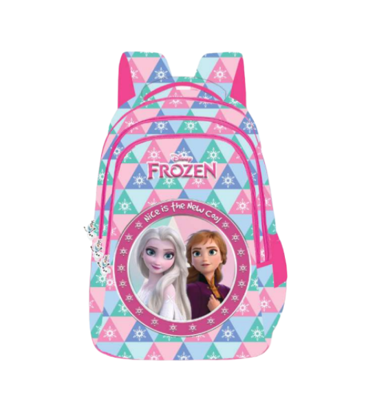 Frozen School Bag